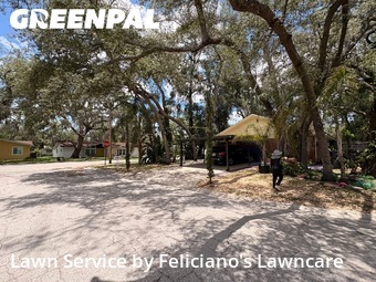 Lawn Servicein Tampa,33617,Lawn Mow by Feliciano's Lawncare, work completed in Jun , 2026