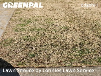 Grass Cutin Nashville,37203,Lawn Service by Lonnies Lawn Service, work completed in Feb , 2026