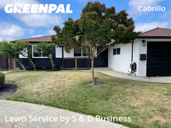 Grass Cut nearby Fremont, CA, 