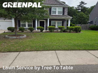 Lawn Cut nearby Charleston, SC, 