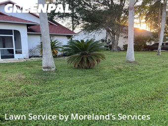 Lawn Maintenance nearby Palm Coast, FL, 
