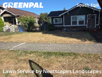 Yard Upkeep in Tacoma, 98408, Yard Mowing by Neatscapes Landscapes, work completed in Nov , 2025