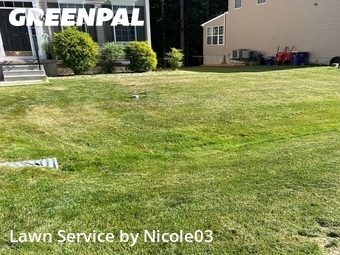Yard Mowing nearby Frederica, DE, 
