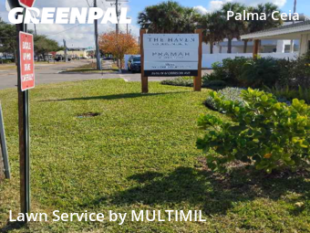 Yard Mowing nearby Tampa, FL, 