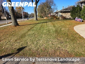 Grass Cut nearby Lisle, IL, 