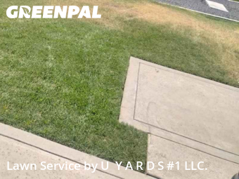 Work completed by affordable-landscaping-maintenance-services-in-Modesto-CA