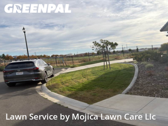 Residential Landscaping In Roseville,95747,Landscaping Cleanup by Mojica Lawn Care Llc, work completed in Nov , 2025