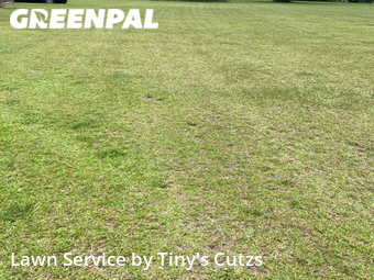 Yard Cutting nearby Valdosta, GA, 