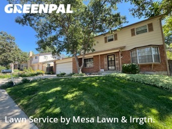 Lawn Cut nearby Lakewood, CO, 