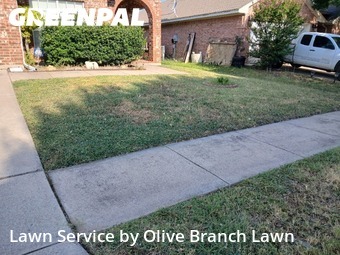 Grass Cutin Saginaw,76131,Lawn Cutting by Olive Branch Lawn, work completed in Oct , 2025