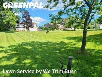 Lawn mowed in North Royalton, 44133