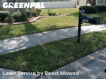 Grass Cutting nearby Wesley Chapel, FL, 