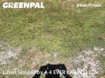 Lawn Mow nearby New Port Richey, FL, 