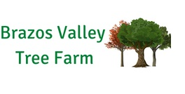 Best Nursery in College Station Texas 1
