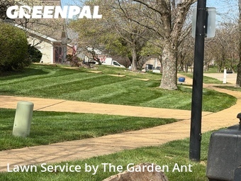 Lawn Cut nearby Ballwin, MO, 