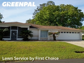 Grass Cut nearby St. Augustine, FL, 