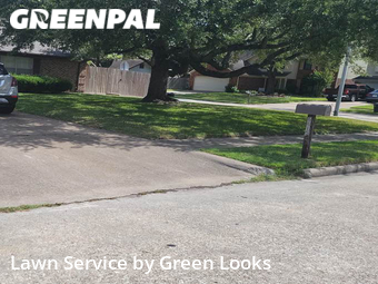 Grass Cutting nearby Pasadena, TX, 