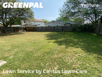 Yard Cutting nearby San Antonio, TX, 