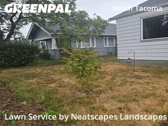 Lawn Mow nearby Tacoma, WA, 