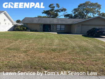 Lawn Care Service nearby Spring Hill, FL, 