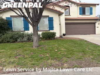 Work completed by grass-cutting-businesses-in-Rocklin-CA