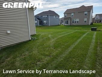 Yard Services in Algonquin, 60102, Yard Management by Terranova Landscape, work completed in Dec , 2025