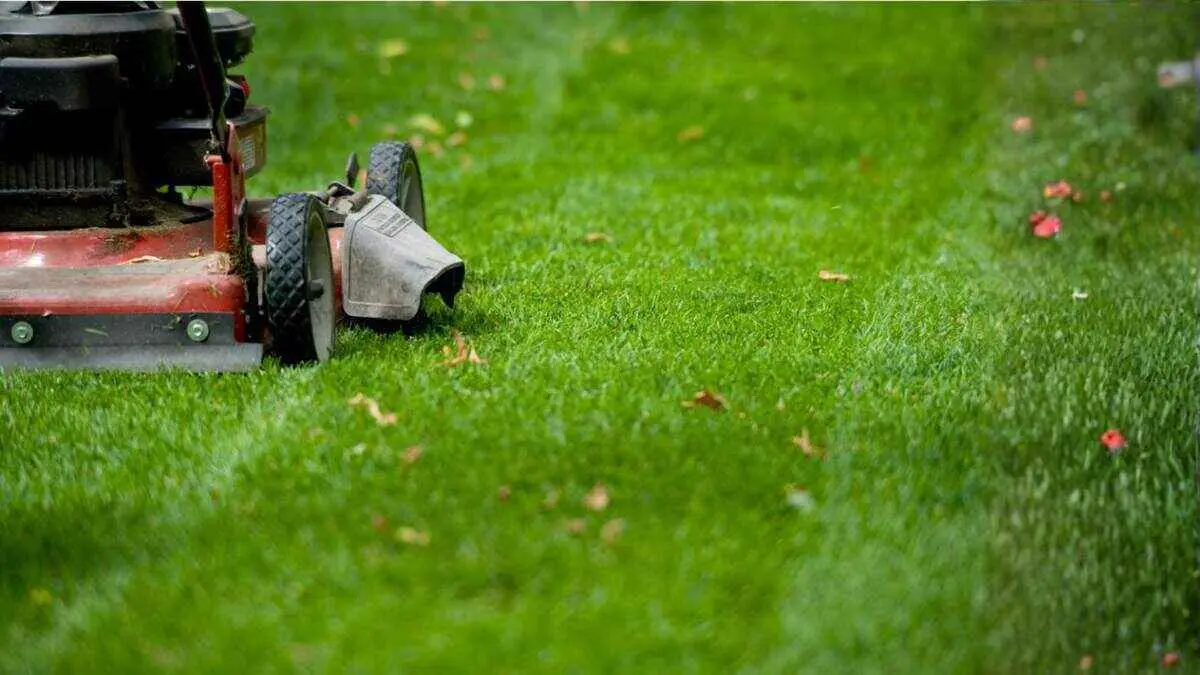 How to Choose the Best Lawn Care Company in Los Angeles in 2026 By Greenpal