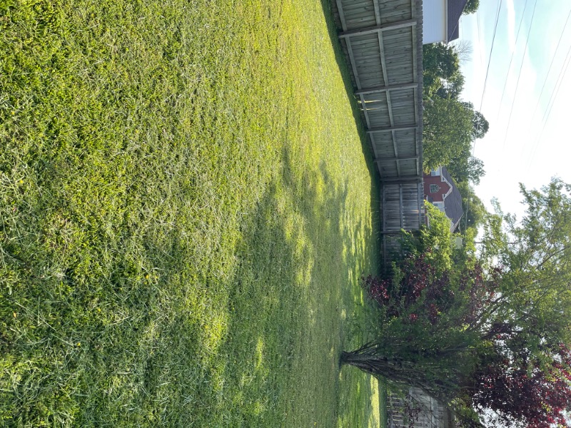 Rocco’s Lawncare Lawn Care Services in Murfreesboro, TN