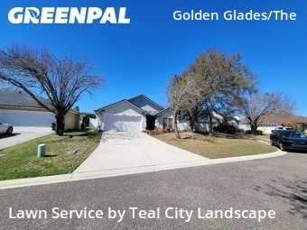 Lawn mowed in Jacksonville, 32246