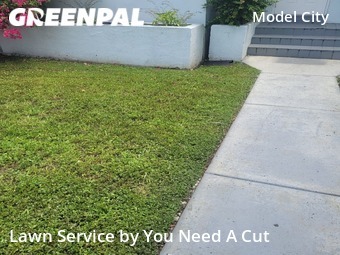 Lawn Mow nearby Miami, FL, 