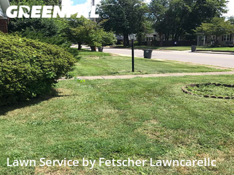 Lawn Care Service nearby Evansville, IN, 