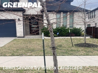 Lawn Cutting nearby Frisco, TX, 