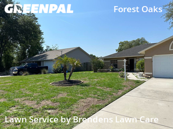 Lawn Mowing Service nearby Spring Hill, FL, 