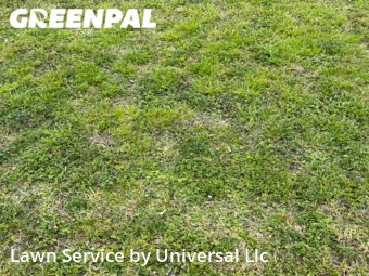 Lawn Mowing nearby Oakland Park, FL, 