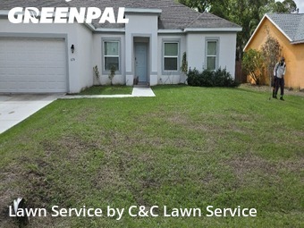 Grass Cut nearby Palm Bay, FL, 