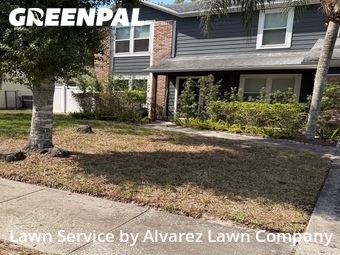 Grass Cuttingin Pine Hills,32818,Lawn Service by Alvarez Lawn Company, work completed in Jun , 2026