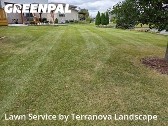 Mowing Services in Romeoville, 60446, Lawn Mowing by Terranova Landscape, work completed in Nov , 2025