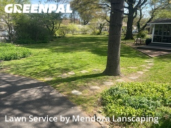 Yard Cutting nearby Brentwood, MD, 