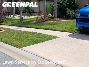 Lawn Mow nearby New Port Richey, FL, 
