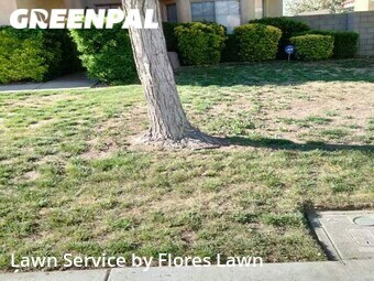 Grass Cut nearby Lancaster, CA, 