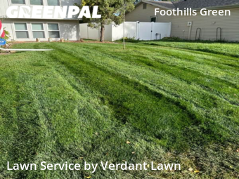 Lawn Care Service nearby Fort Collins, CO, 