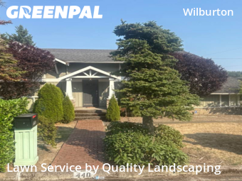 Lawn Servicein Bellevue,98005,Lawn Cut by Quality Landscaping, work completed in Dec , 2025