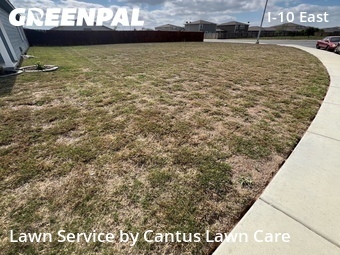 Grass Cutting nearby Converse, TX, 