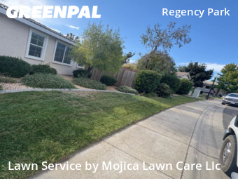 grass-trimming-service-in-Yuba City-CA