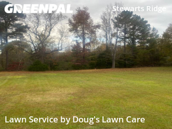 Lawn Care Service nearby Wendell, NC, 