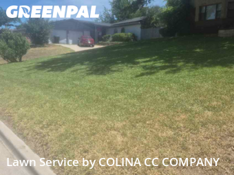 Yard Cutting nearby Fort Worth, TX, 