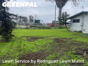 lawn-care-experts-in-Visalia-CA