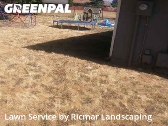 Yard Cutting nearby Renton, WA, 