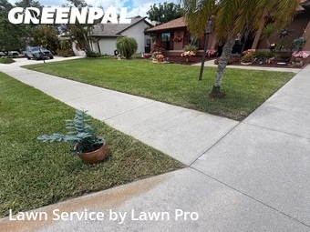 Lawn mowing work completed in Venice, CA