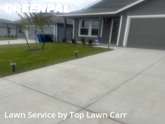 Lawn Servicein Dallas,75241,Lawn Cut by Top Lawn Carr, work completed in Nov , 2025
